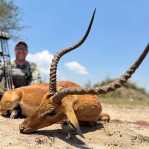 Impala Bow Hunt Uganda