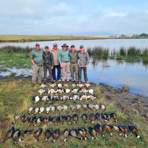 Bird Hunting South Africa