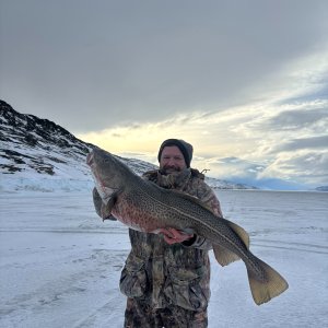 Fishing Greenland