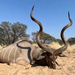 Kudu Hunt Botswana