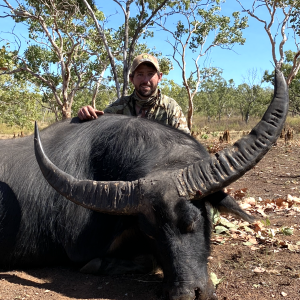 Water Buffalo Hunt Australia