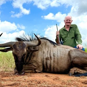 Blue Wildebeest Hunt South Africa