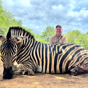 Zebra Hunt South Africa