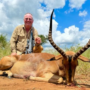 Impala Hunt South Africa