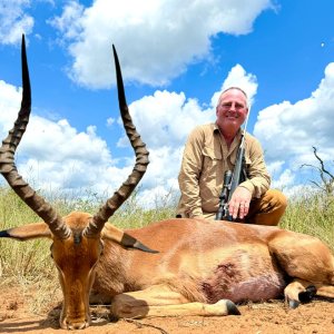 Impala Hunt South Africa