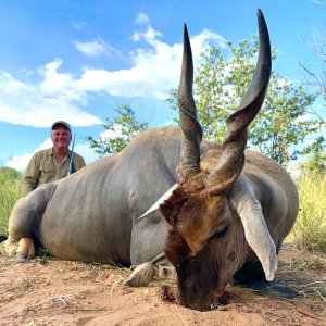 Eland Hunt South Africa