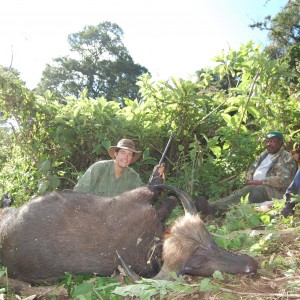 Buffalo Tanzania