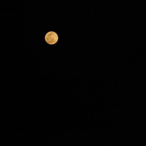 Moon Tanzania