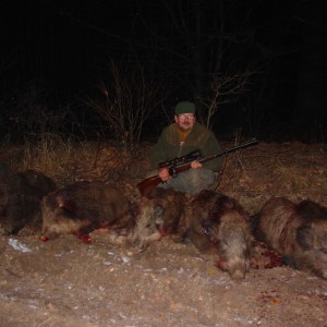 Hunting Wild Boars