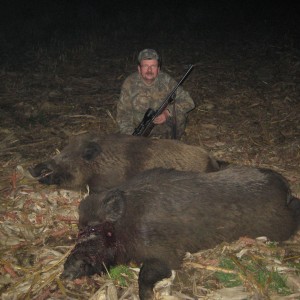 Hunting Wild Boars