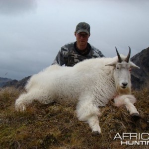 Hunting high alpine mountain goat