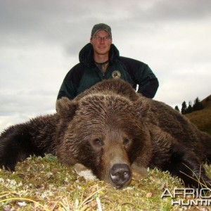 Hunting Grizzly Bear