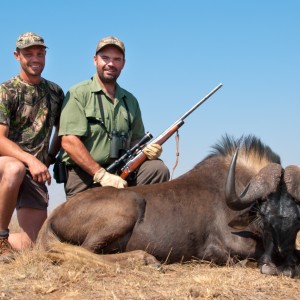 Hunting Black Wildebeest 2010 RSA