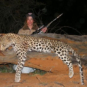 Hunting Leopard in Namibia