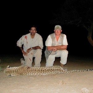 Hunting Leopard in Namibia