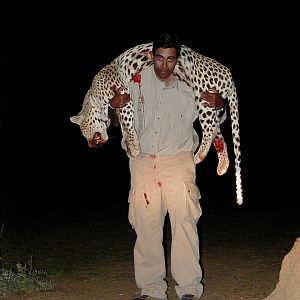 Hunting Leopard in Namibia