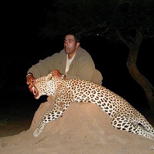 Hunting Leopard in Namibia