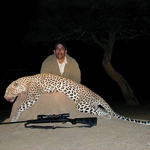 Hunting Leopard in Namibia