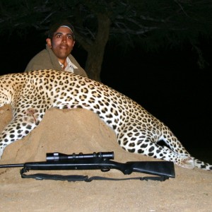 Hunting Leopard in Namibia