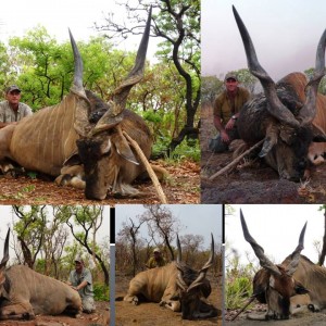 Hunting in Central African Republic