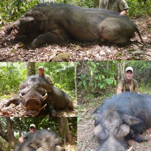 Hunting in Central African Republic