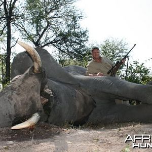 Hunting Elephant Namibia