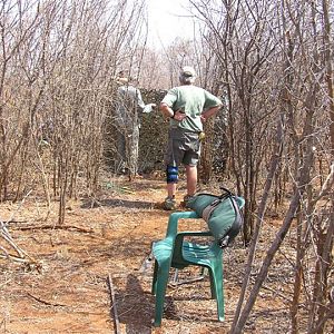 My Leopard Hunt with Motsomi Safaris in South Africa