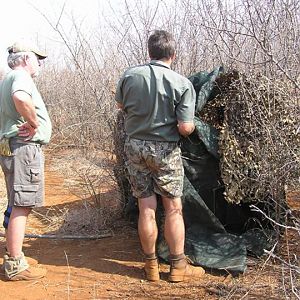 My Leopard Hunt with Motsomi Safaris in South Africa