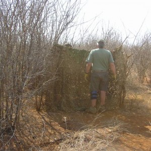 My Leopard Hunt with Motsomi Safaris in South Africa