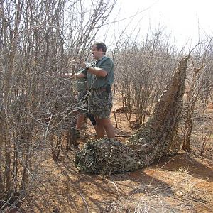 My Leopard Hunt with Motsomi Safaris in South Africa