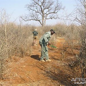 My Leopard Hunt with Motsomi Safaris in South Africa