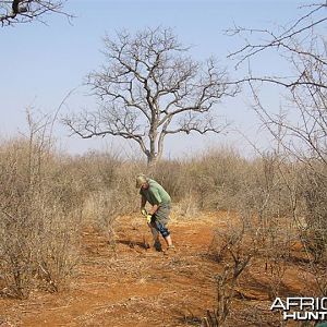 My Leopard Hunt with Motsomi Safaris in South Africa