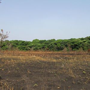 Open area in CAR