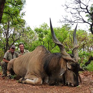 52 inch Lord Derby Eland hunted in CAR