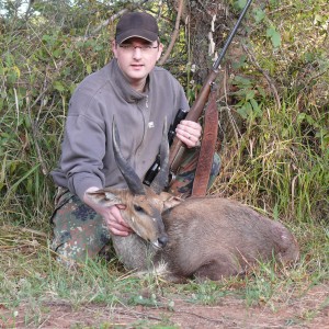 Bushbuck, RSA 2009