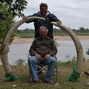 80 pounds tusks - not too shabby