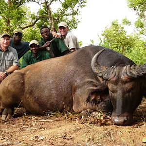 Hunting Buffalo in CAR