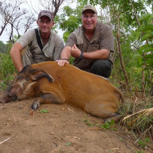 Hunting Red River Hog in CAR