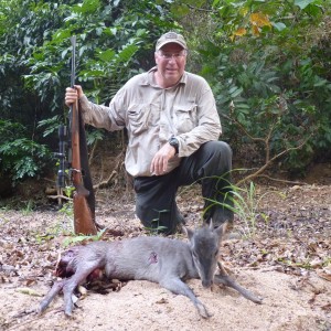 Blue Duiker hunted in CAR