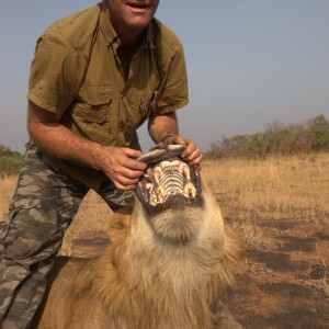 Lion hunted in CAR