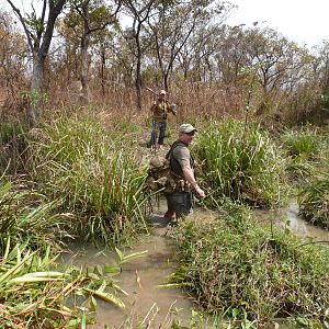 Crossing Swamp in CAR