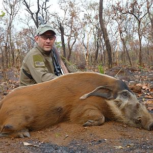 Red River Hog hunted in CAR