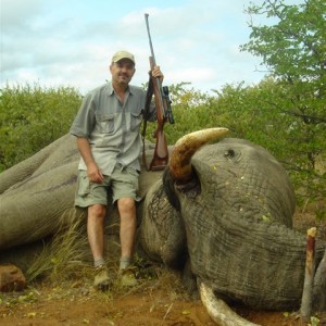 Elephant hunt in South Africa