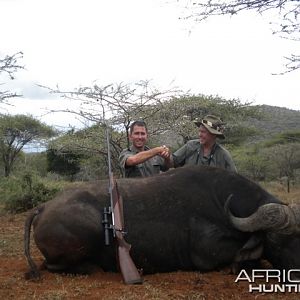 Cape Buffalo with Leeukop Safaris