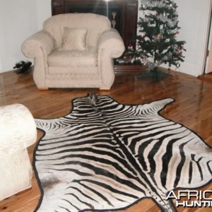 Zebra skin