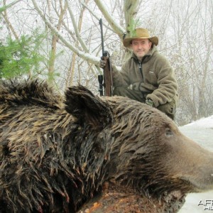 Brown Bear Hunt in Romania