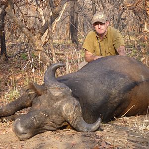 Buffalo hunted in Central African Republic