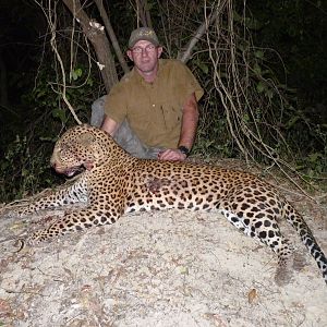 Leopard hunted in Central African Republic