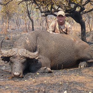 Buffalo hunted in Central African Republic