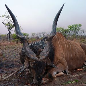 Hunting Giant Eland in Central African Republic